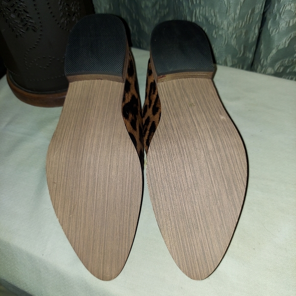 Booties - Picture 5 of 6